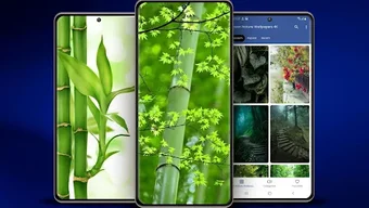 รูปภาพ 0 สำหรับ 