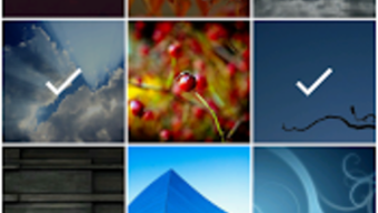 รูปภาพ 0 สำหรับ 