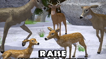  için 0 numaralı resim