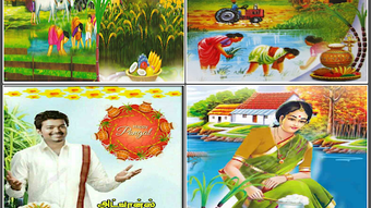รูปภาพ 0 สำหรับ 