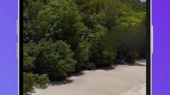  için 0 numaralı resim