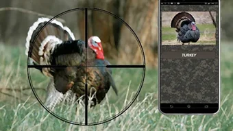 รูปภาพ 0 สำหรับ 