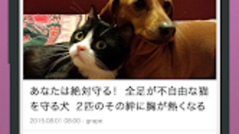 の画像0