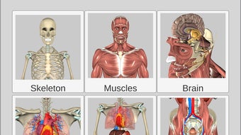 3D Anatomy