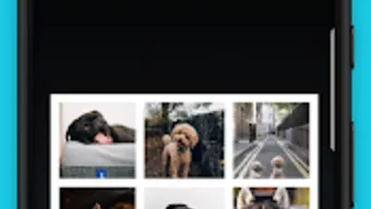 PicPlayPost Collage Maker Slideshow Video Editor
