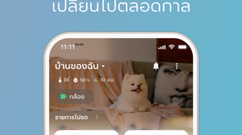 の画像0