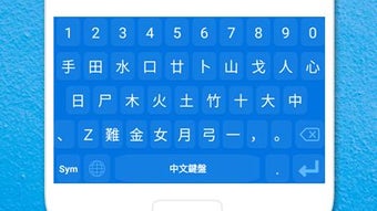 의 이미지 0
