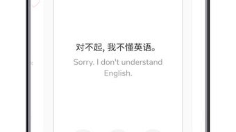 の画像0