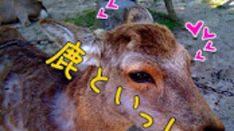 の画像0