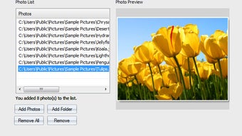 รูปภาพ 0 สำหรับ 
