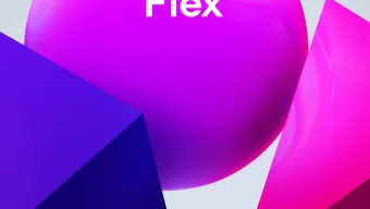 EA Flex