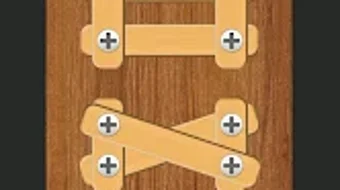 Wood Screw Puzzle