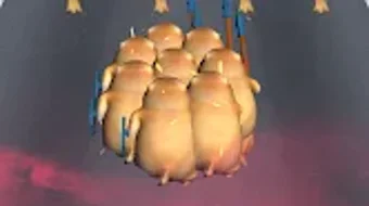 의 이미지 0
