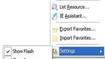 IE Assistant