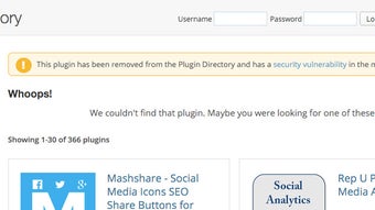 Plugin Vulnerabilities