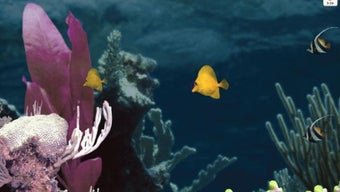  için 0 numaralı resim