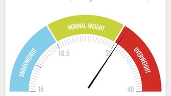 Weight Loss Tracker  BMI - aktiBMI