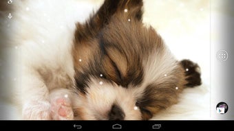 รูปภาพ 0 สำหรับ 