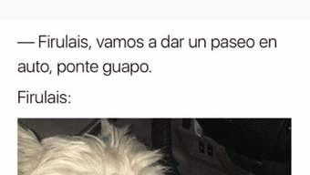 Imagem 0 para 