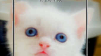 의 이미지 0