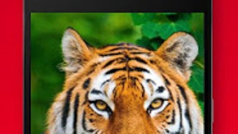 รูปภาพ 0 สำหรับ 