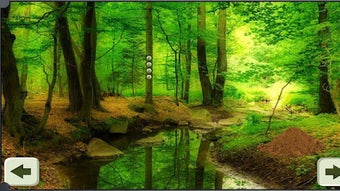 の画像0