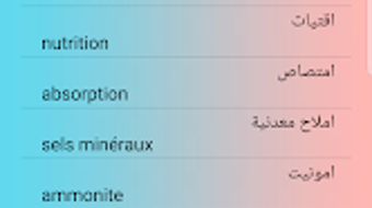 الصورة 0 لـ 