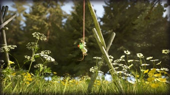 Immagine 0 per 