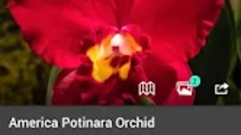 Imagem 0 para 