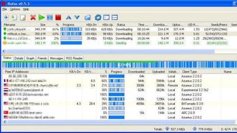 Rufus BitTorrent Client