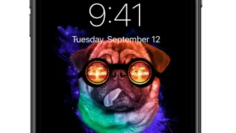 Dogs Wallpapers 4K HQ Notch