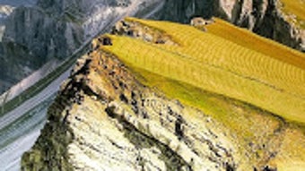 の画像0