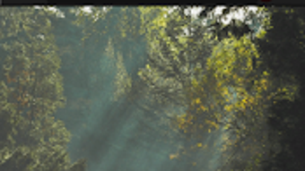 รูปภาพ 0 สำหรับ 