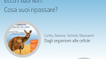Afbeelding 0 voor 