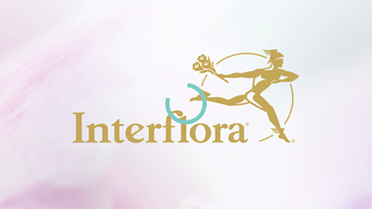 Imagem 0 para 