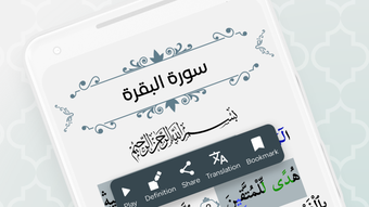 الصورة 0 لـ 
