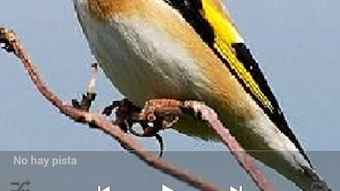 Imagem 0 para 