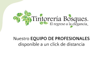 Tintoreria Bosques