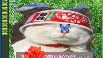 の画像0