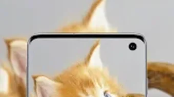الصورة 0 لـ 