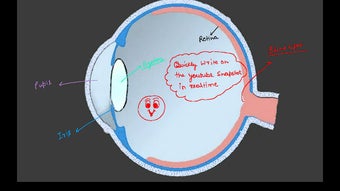 Изображение 0 для 