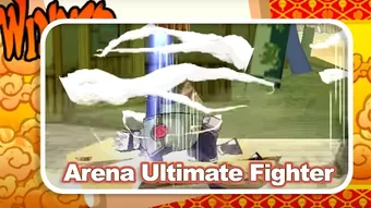 Arena Heroes Ultimate Fighter