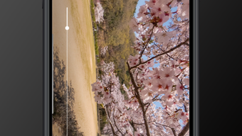 の画像0