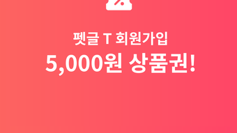의 이미지 0