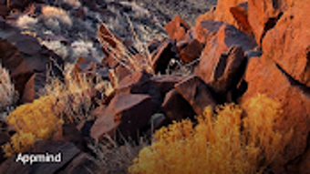  için 0 numaralı resim