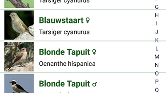 Bild 0 för 