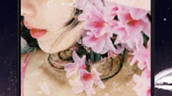 รูปภาพ 0 สำหรับ 