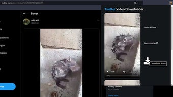 الصورة 0 لـ 
