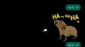 Capybara Sticker