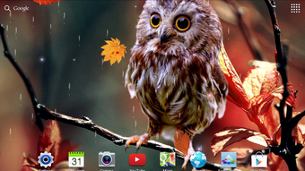 รูปภาพ 0 สำหรับ 